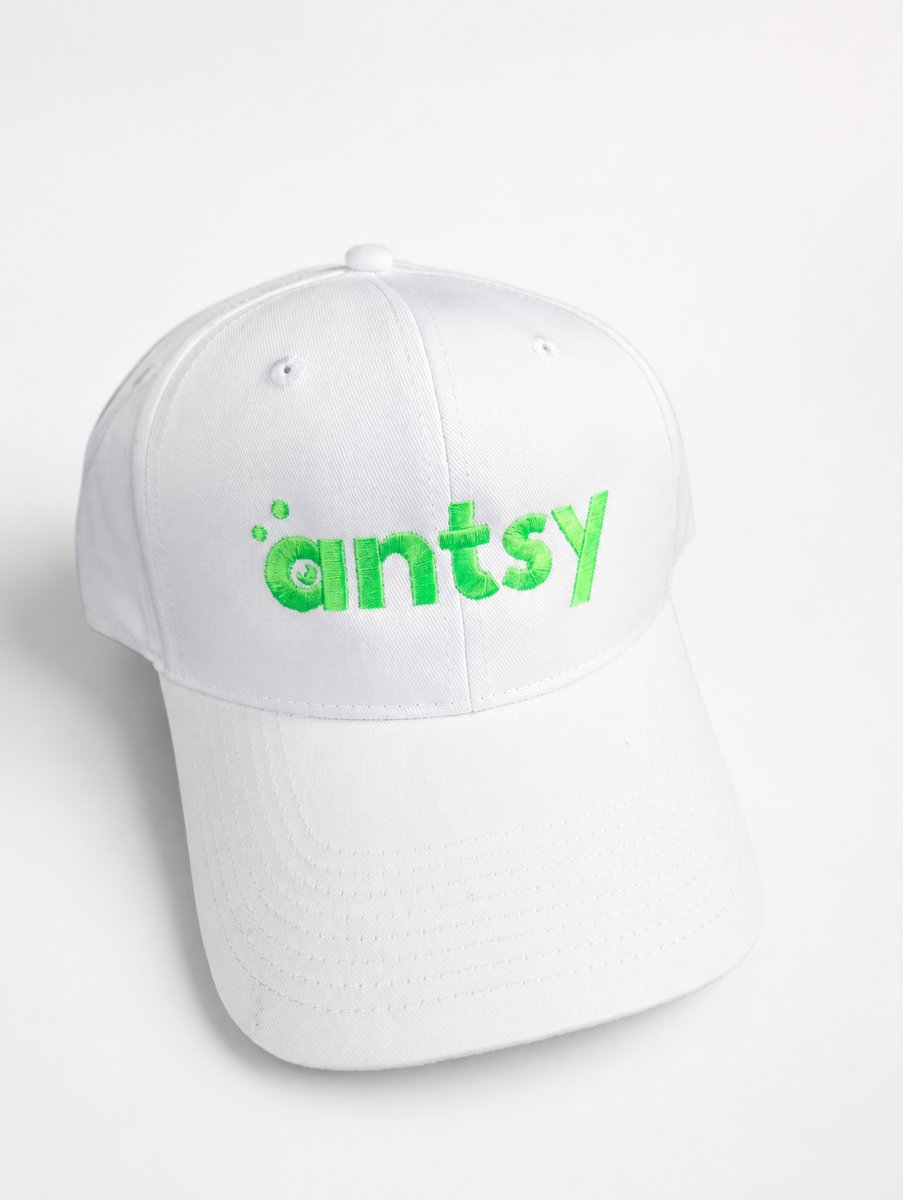 Embroidered company cap printed for antsy by Singhs Print